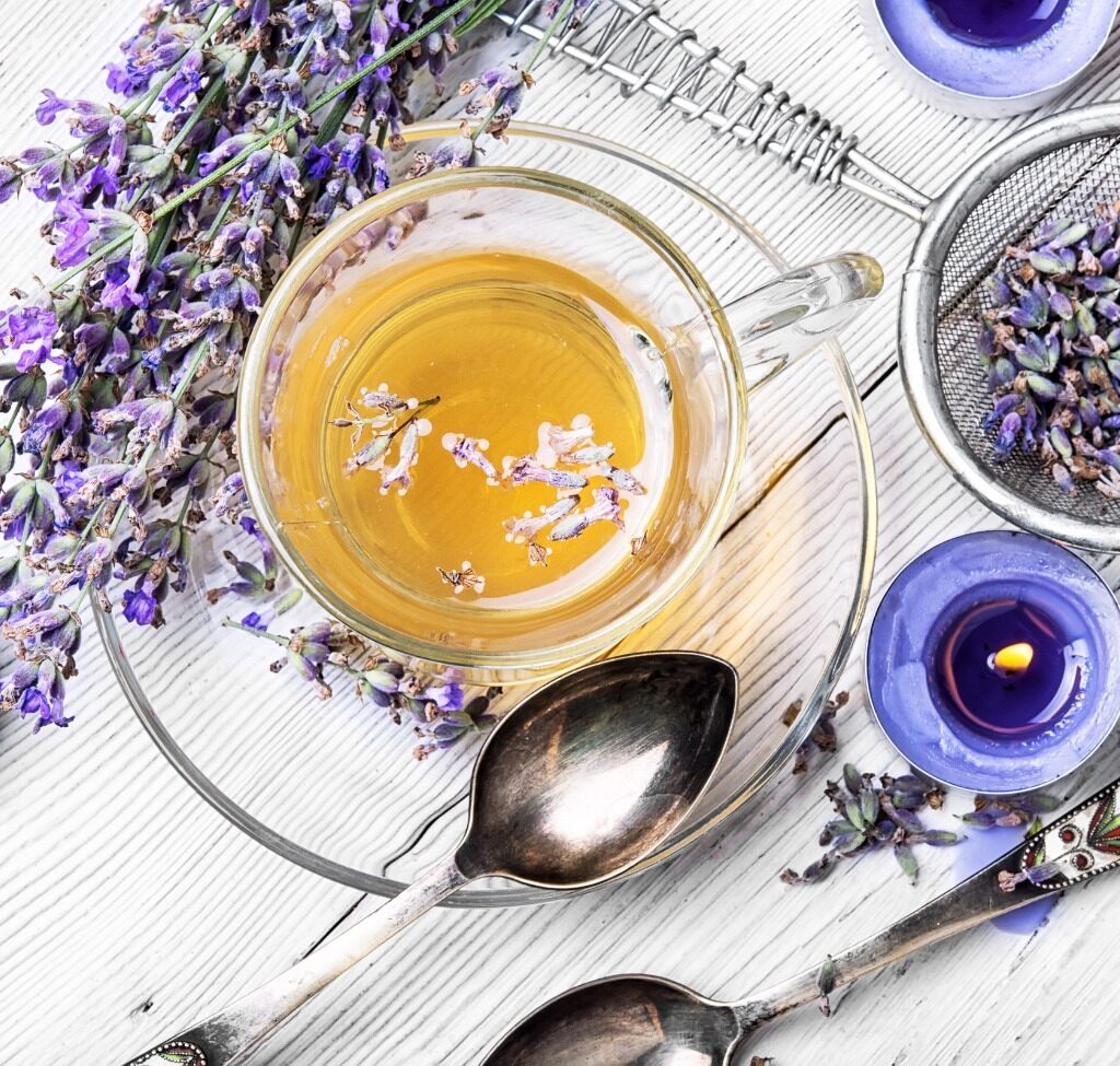 Lavender Sky Health Pricing