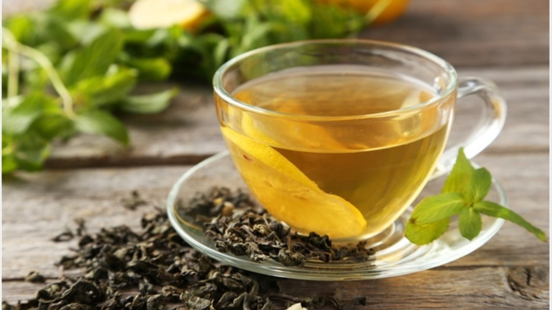 The Surprising Health Benefits of Green Tea