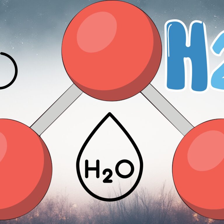 Understanding the HCOOCH CH2 H2O Reaction