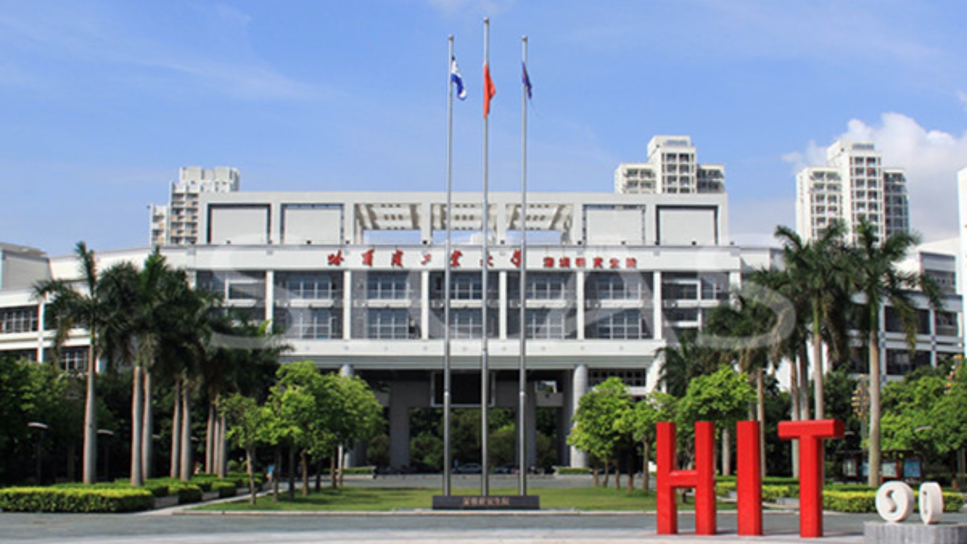 Harbin New Rich Technology: A 2026 Deep Dive